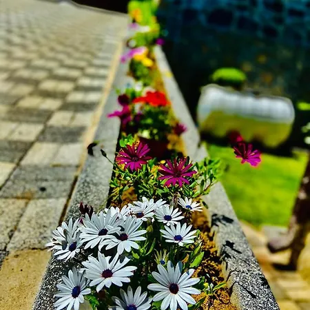Gizlibahcekabakoz Villa